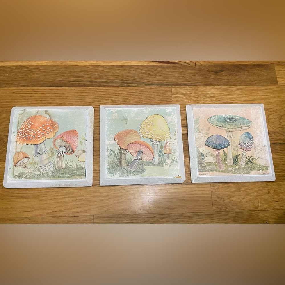 🍄 Vintage rare set of three 70s Decor Mushroom Lithograph Art